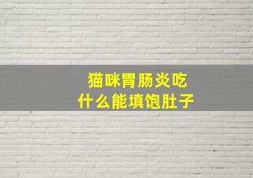 猫咪胃肠炎吃什么能填饱肚子