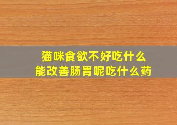 猫咪食欲不好吃什么能改善肠胃呢吃什么药