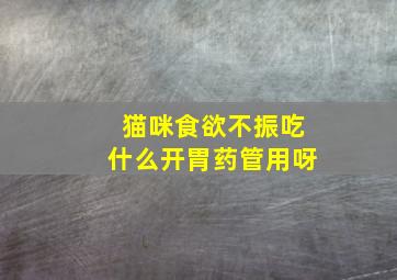 猫咪食欲不振吃什么开胃药管用呀