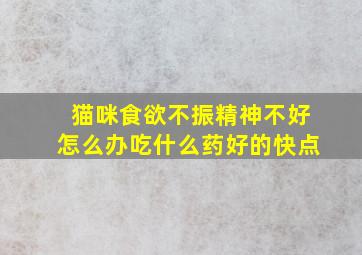 猫咪食欲不振精神不好怎么办吃什么药好的快点