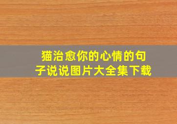 猫治愈你的心情的句子说说图片大全集下载