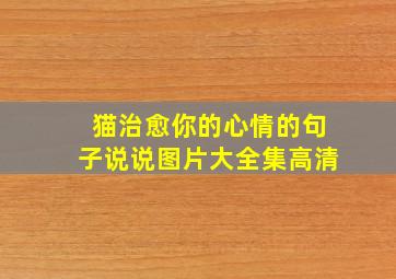 猫治愈你的心情的句子说说图片大全集高清