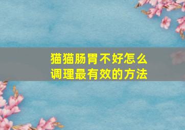 猫猫肠胃不好怎么调理最有效的方法