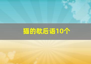 猫的歇后语10个