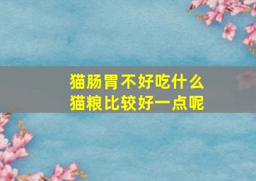 猫肠胃不好吃什么猫粮比较好一点呢