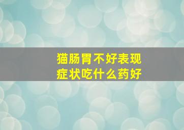 猫肠胃不好表现症状吃什么药好