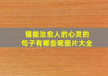 猫能治愈人的心灵的句子有哪些呢图片大全