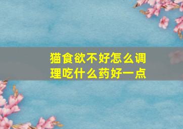 猫食欲不好怎么调理吃什么药好一点