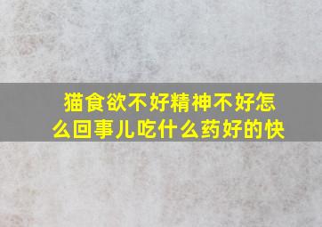 猫食欲不好精神不好怎么回事儿吃什么药好的快