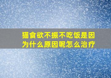 猫食欲不振不吃饭是因为什么原因呢怎么治疗