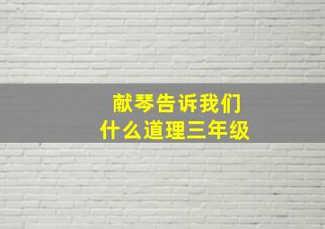 献琴告诉我们什么道理三年级