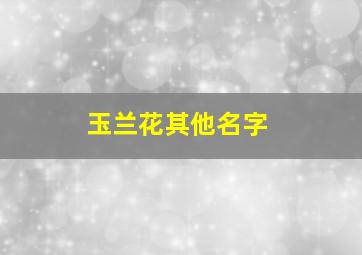 玉兰花其他名字