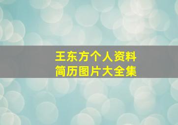 王东方个人资料简历图片大全集