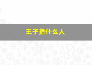 王子指什么人