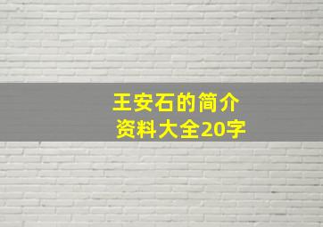 王安石的简介资料大全20字