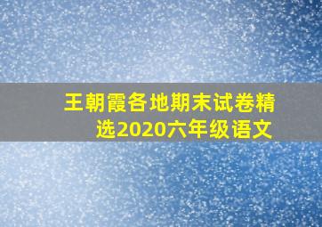 王朝霞各地期末试卷精选2020六年级语文