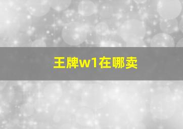 王牌w1在哪卖