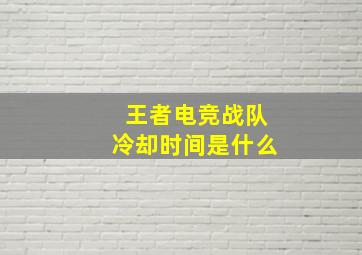 王者电竞战队冷却时间是什么