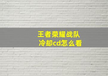 王者荣耀战队冷却cd怎么看