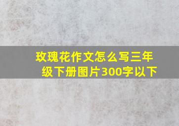 玫瑰花作文怎么写三年级下册图片300字以下