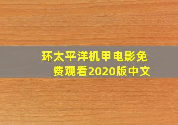 环太平洋机甲电影免费观看2020版中文