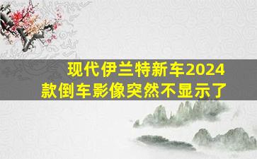 现代伊兰特新车2024款倒车影像突然不显示了