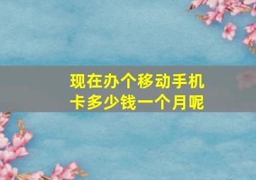 现在办个移动手机卡多少钱一个月呢