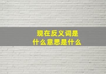 现在反义词是什么意思是什么