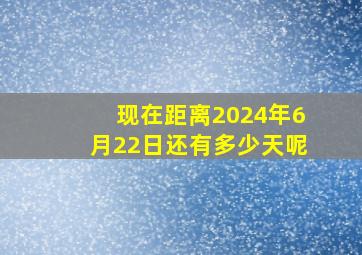 现在距离2024年6月22日还有多少天呢