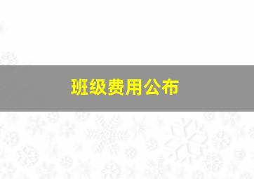 班级费用公布