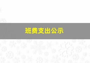 班费支出公示