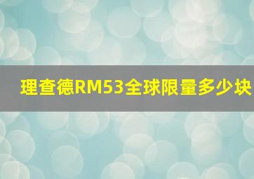 理查德RM53全球限量多少块