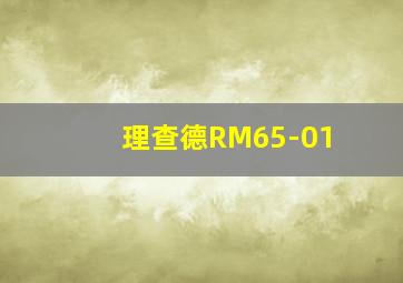 理查德RM65-01