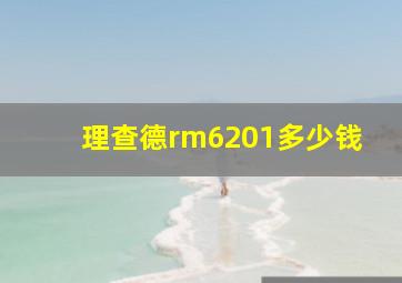 理查德rm6201多少钱