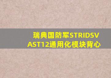 瑞典国防军STRIDSVAST12通用化模块背心