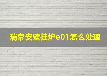 瑞帝安壁挂炉e01怎么处理