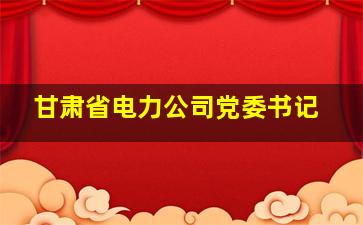 甘肃省电力公司党委书记