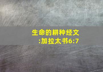 生命的耕种经文:加拉太书6:7