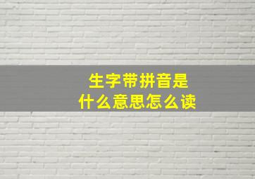 生字带拼音是什么意思怎么读