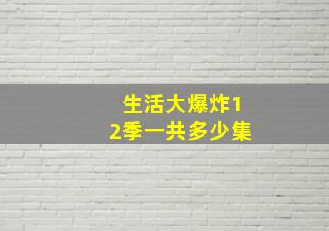 生活大爆炸12季一共多少集