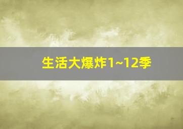 生活大爆炸1~12季