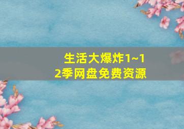 生活大爆炸1~12季网盘免费资源