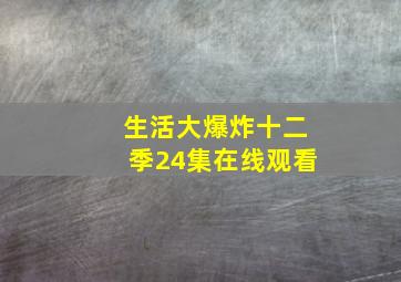 生活大爆炸十二季24集在线观看