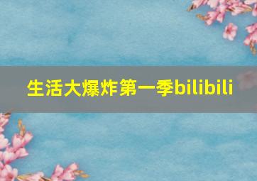 生活大爆炸第一季bilibili