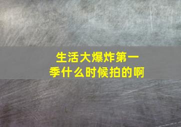 生活大爆炸第一季什么时候拍的啊