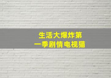 生活大爆炸第一季剧情电视猫