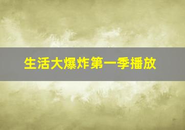 生活大爆炸第一季播放