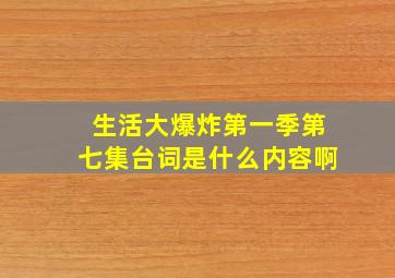 生活大爆炸第一季第七集台词是什么内容啊