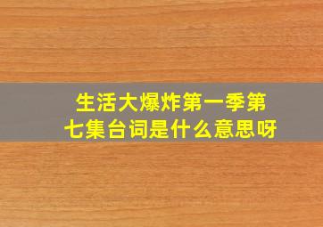 生活大爆炸第一季第七集台词是什么意思呀