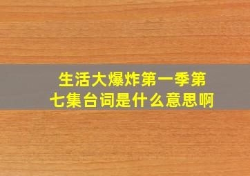 生活大爆炸第一季第七集台词是什么意思啊